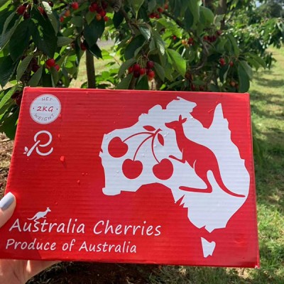 【顺丰快递】新南威尔士州红袋鼠车厘子28-30mm、30-32mm、32-34mm 2kg装 不接急单！